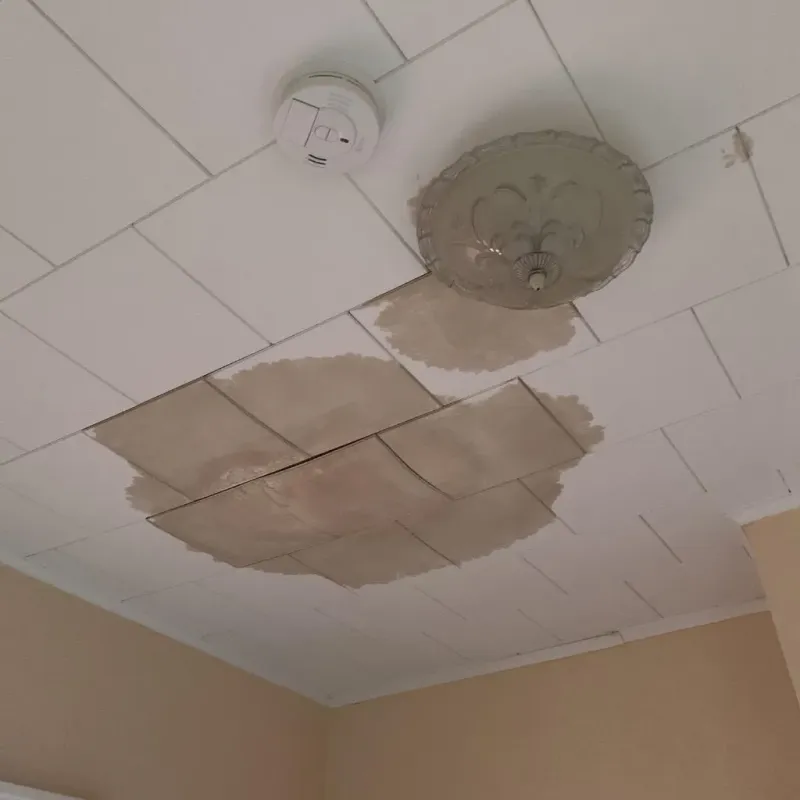 Ceiling Water Damage Repair in Roundup, MT